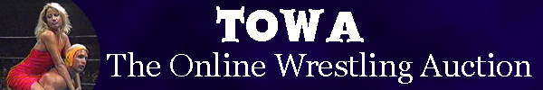 towa.jpg (13312 bytes)